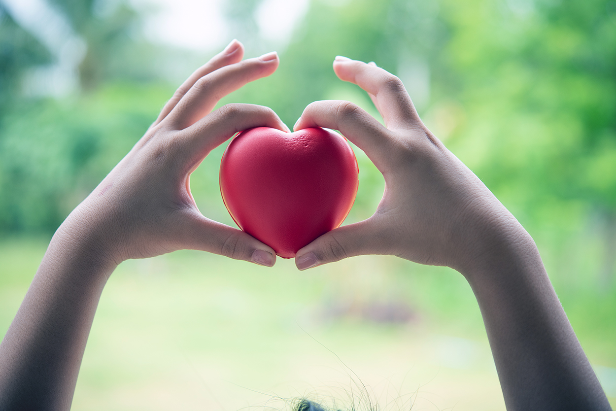 Two hands of child holding a red of rubber heart